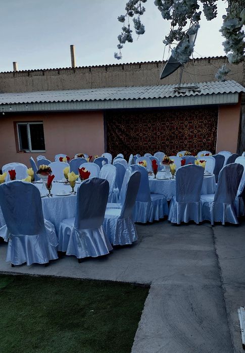 стол стуля пракат