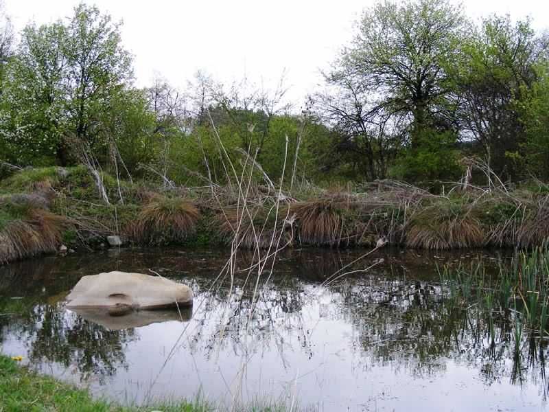 Продавам малка вила