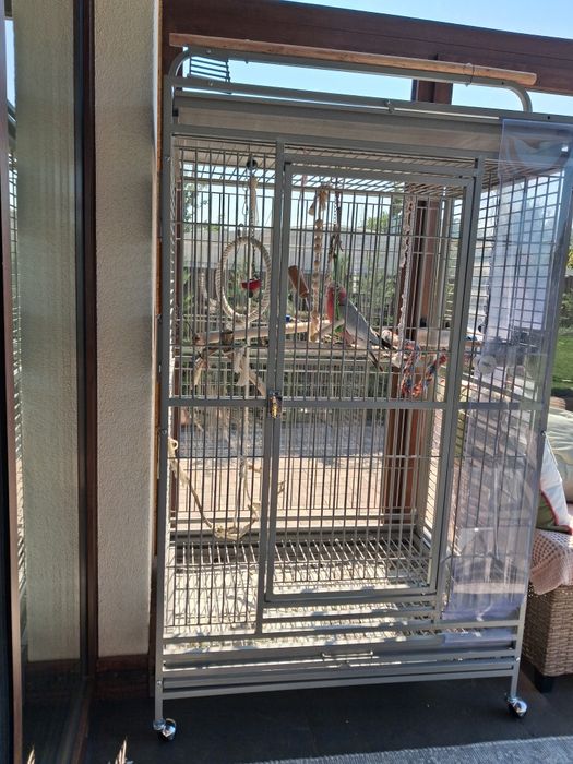Rozakakadu baietel de 1an 2 luni