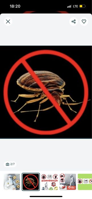 Дезинфекция против клопы ,тараканы,термиты