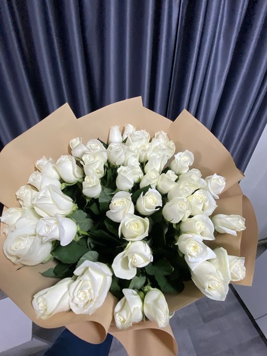 Цветы белые розы