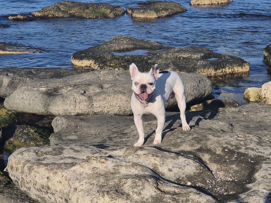 Вязка_Ищем пару для вязки