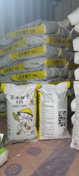 Семена кукурузы Китай