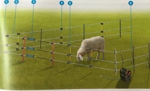 Электропастух ірі және ұсақ малға