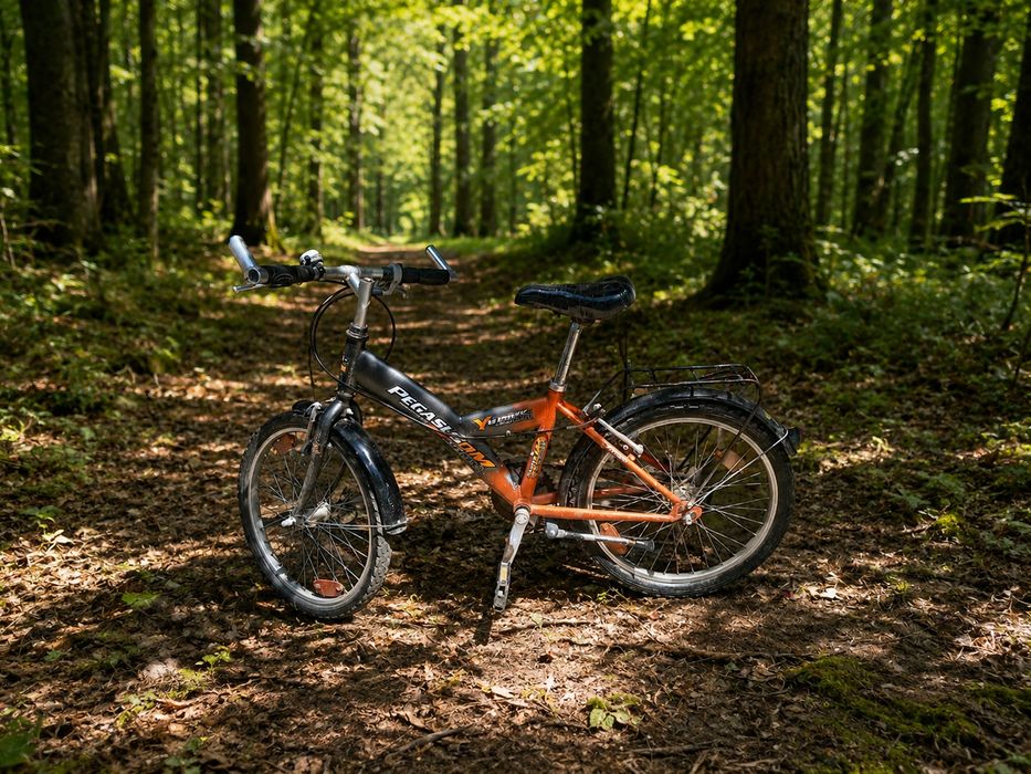 Vănd bicicletă Pegasus