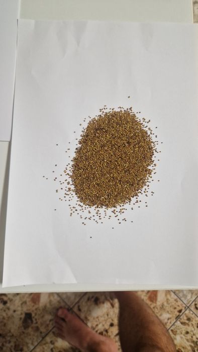 Vand samanta de lucerna