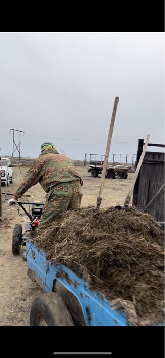 Продам мотоблок с прицепом.