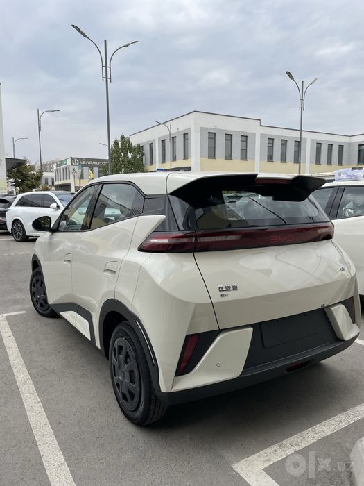 Byd seagull 2026
