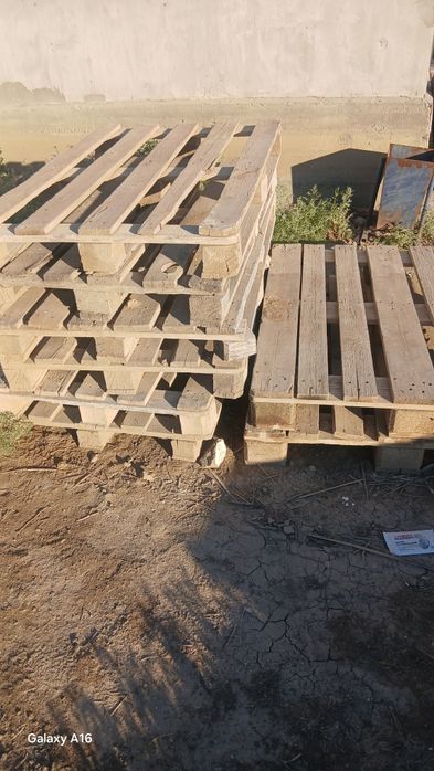 Паддон штука по 1000тг
