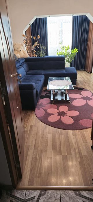 Vand apartament 2 camere , Intrarea muzeului .