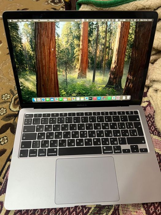 Mac book air touch id