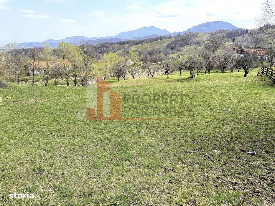 Teren 2.495 Mp | Bran – Sohodol | Vedere Panoramică Spre Bucegi