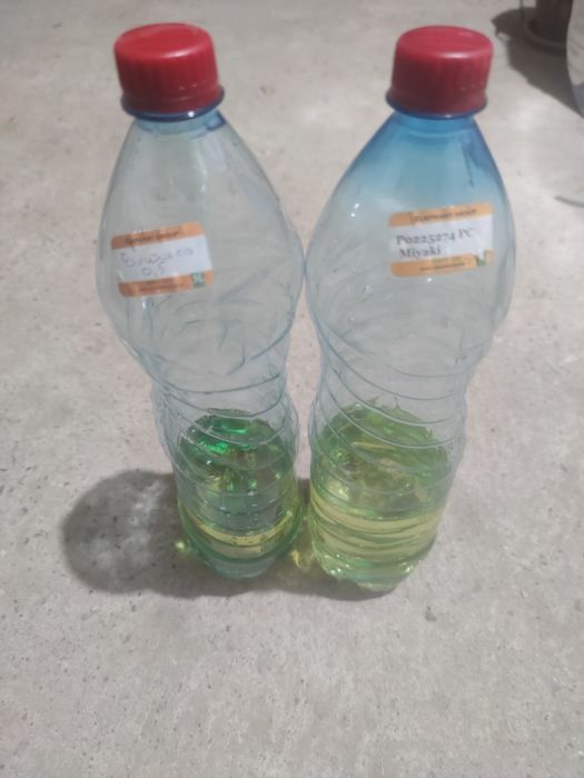 Отдушки для стирального порошка геля