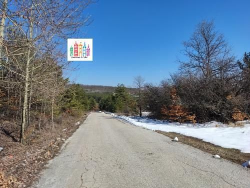 Продава се Парцел в с. Вакарел, Област София-област - 3000 кв.м за 27 €/кв.м - Снимка #3