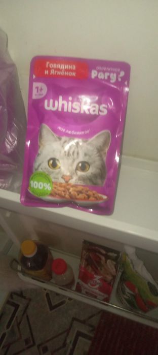 Кошка с тройней.