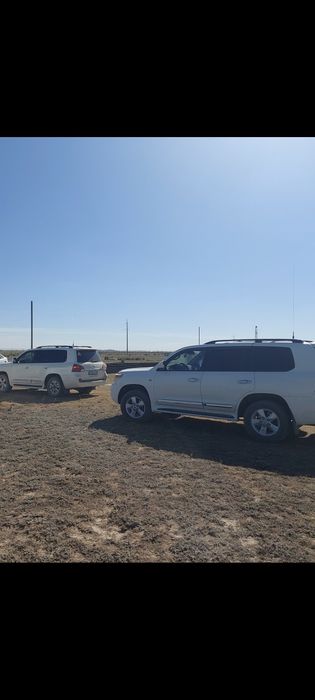 Аренда авто с водителем