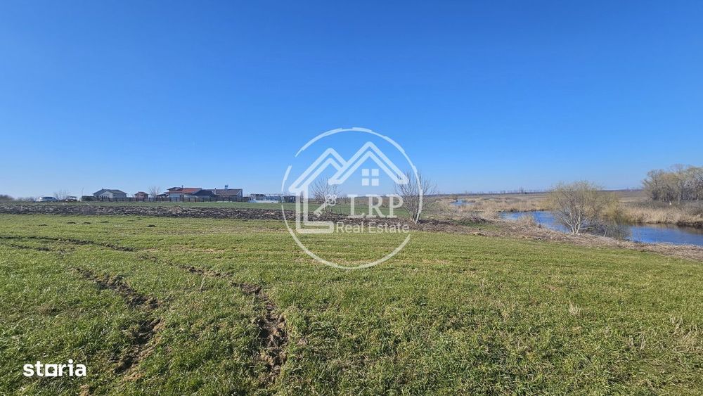 Loturi de Casa pe malul Lacului Creata, Dascalu – 460 mp + Drum serv