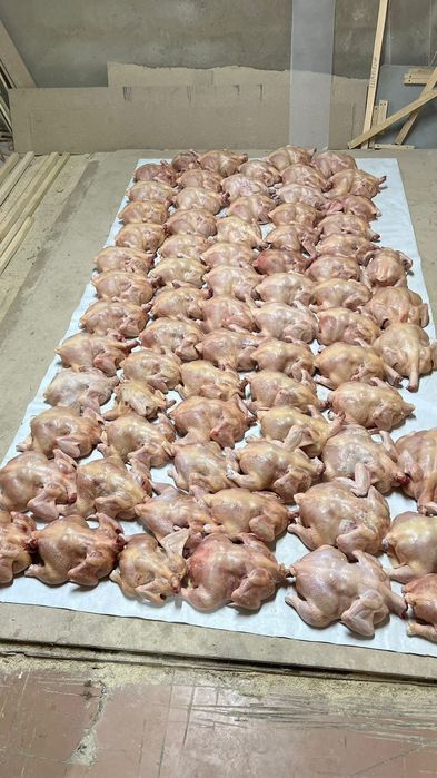 Мясо цыплёнка бройлера