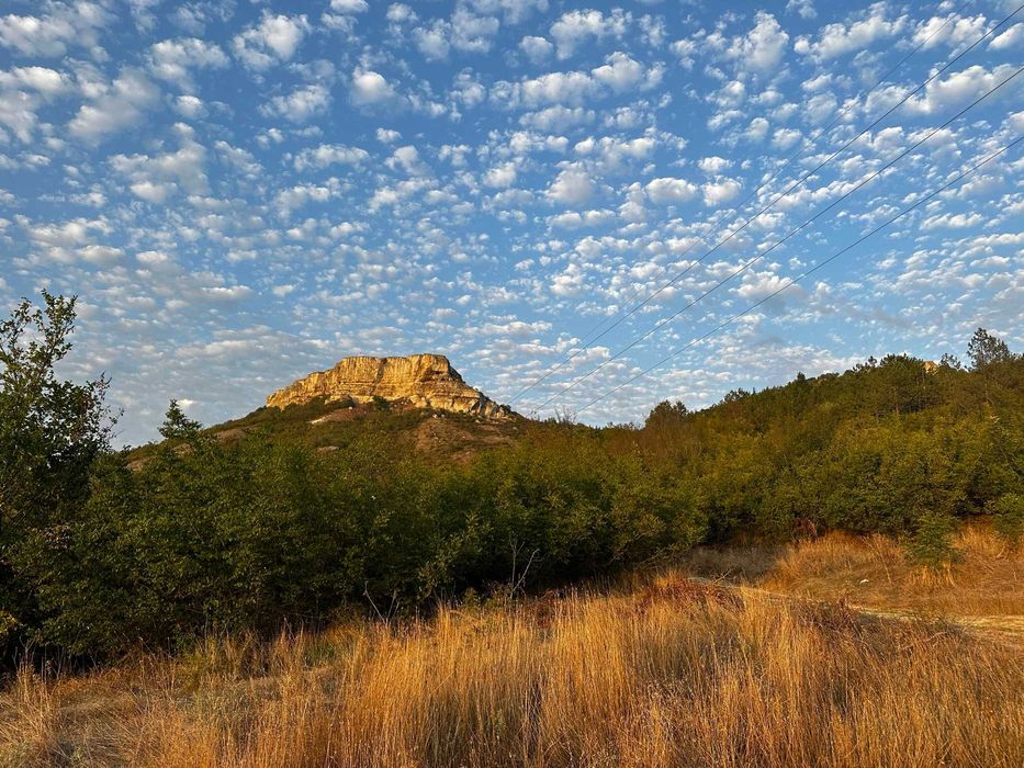 Парцел в село разделна