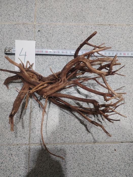 Корени за аквариум, терариум, паладиум