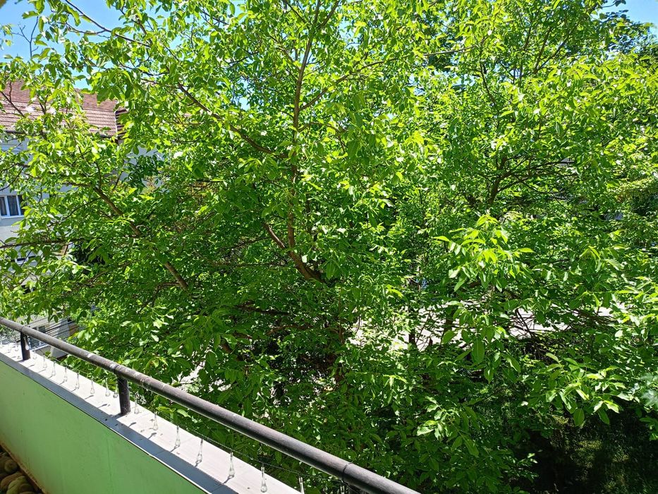 PF închiriez apartament 2 camere - View 6