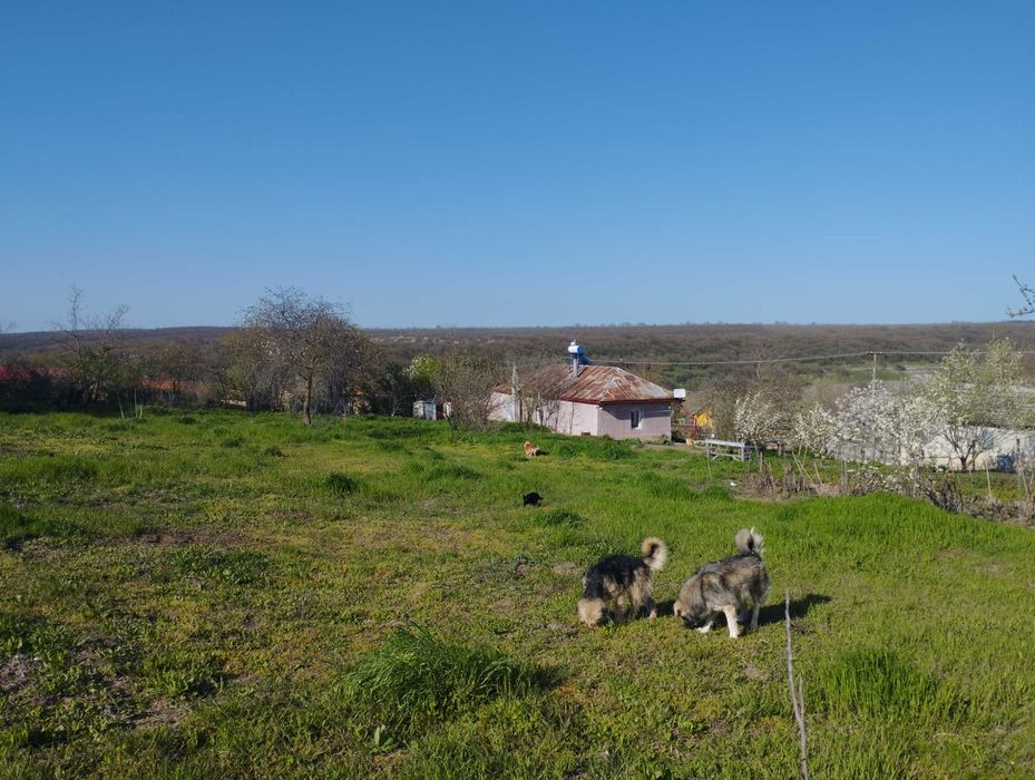 casa de vanzare 2 camere,dumbraveni,constanta.