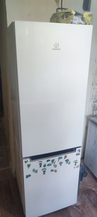 Высокий холодильник Indesit