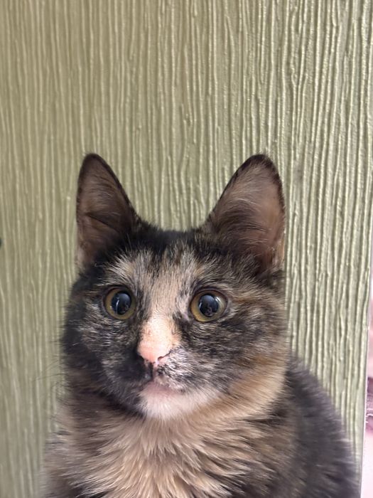 Только ответственным