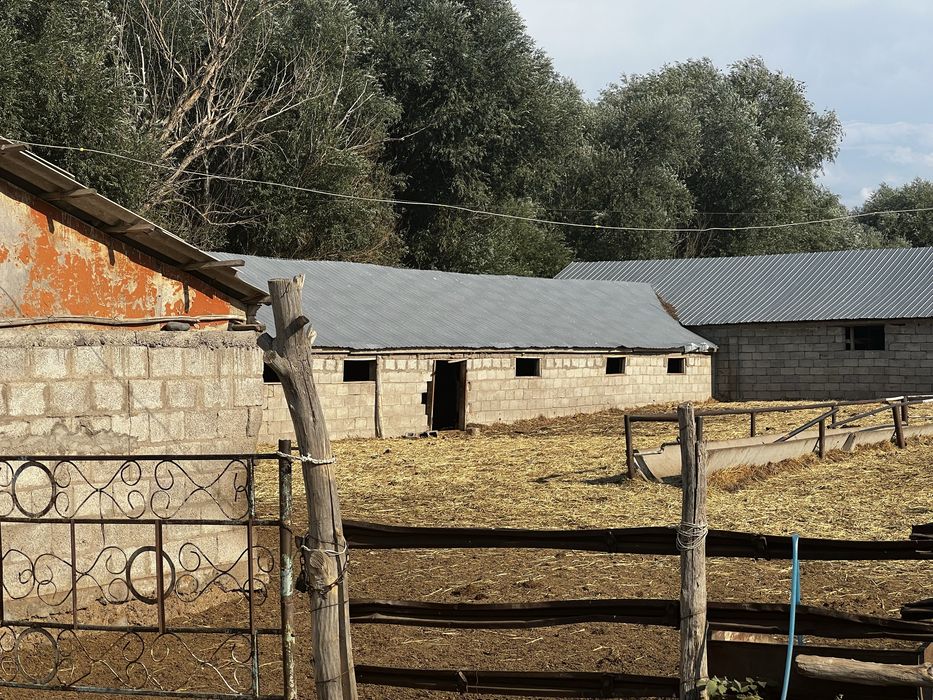 Продается Крестьянское хозяйство