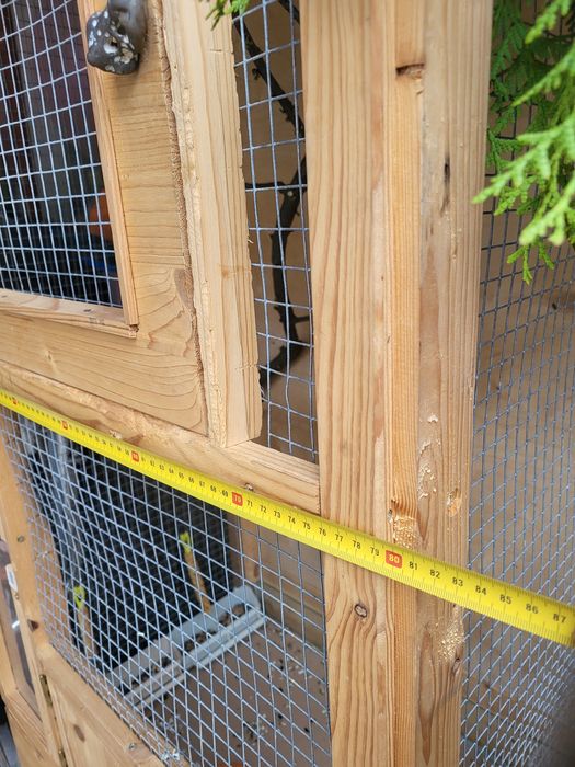 Colivie pentru pasarele