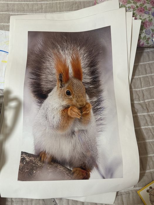 Картины на холсте