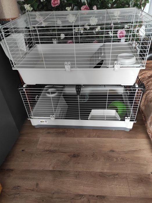 Vând cuști șinșila