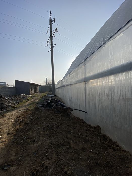 Теплица аренда