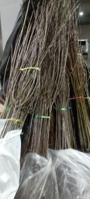 Саженцы ёлка.плодавые яблоки груш итд