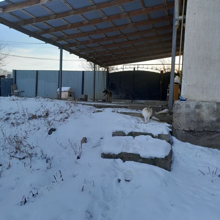 Продам дом в селе Турар