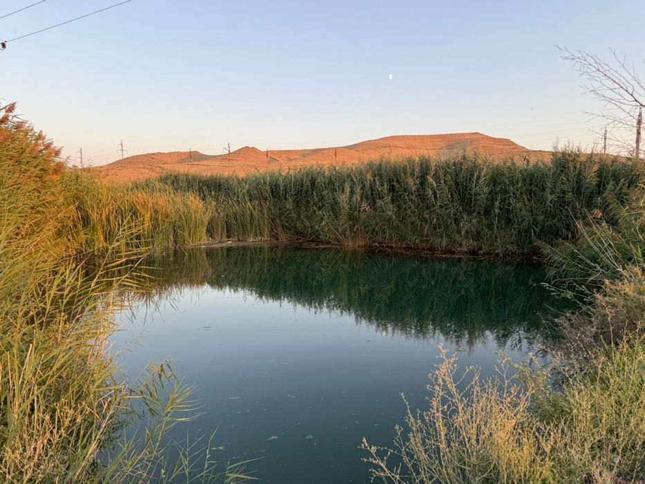 продается фазенда