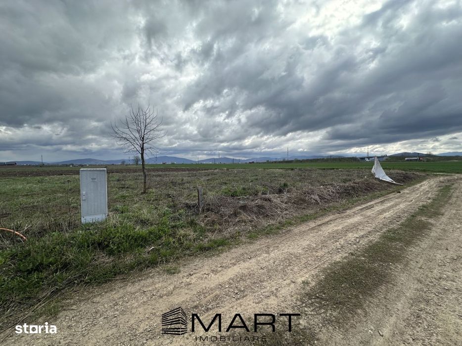 Teren intravilan 520 mp Harman