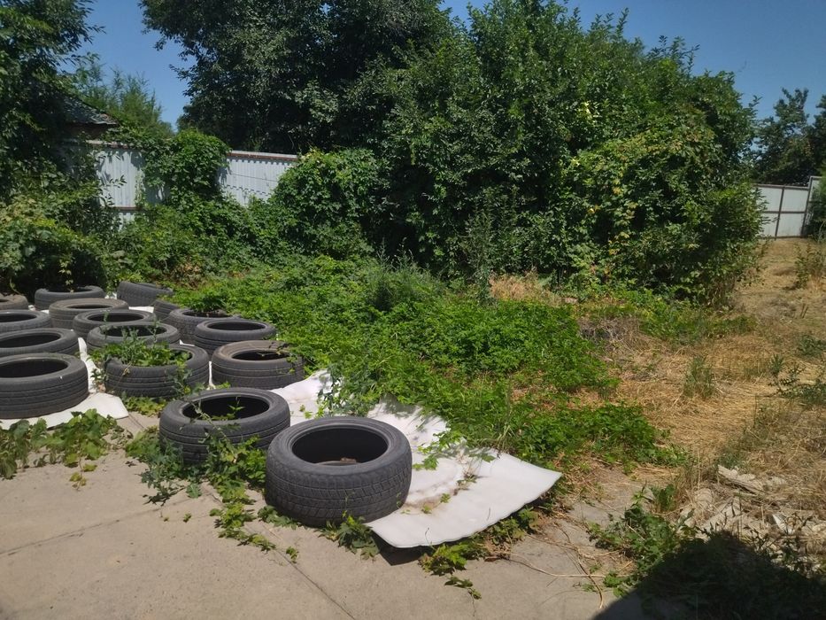 Покос скос травы на участке