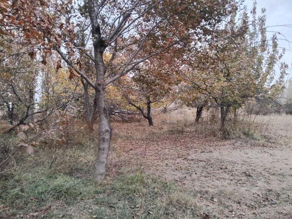 Срочно ер сотилади !