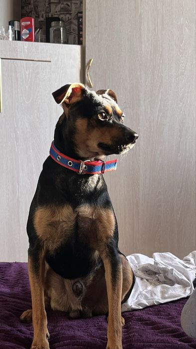 Вязка опытный кабель