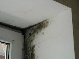 Шашка серная ФАС УНИВЕРСАЛЬНАЯ 300гр