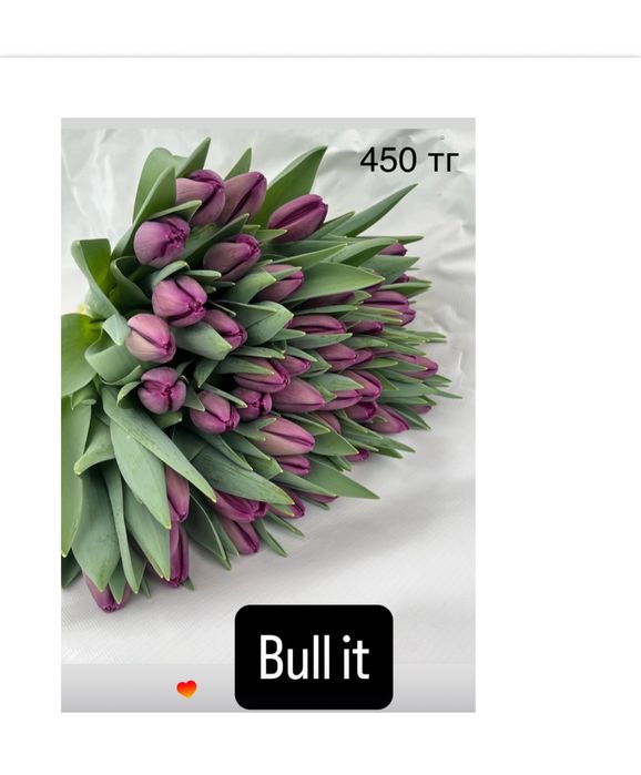 Тюльпаны оптом к 8 марта