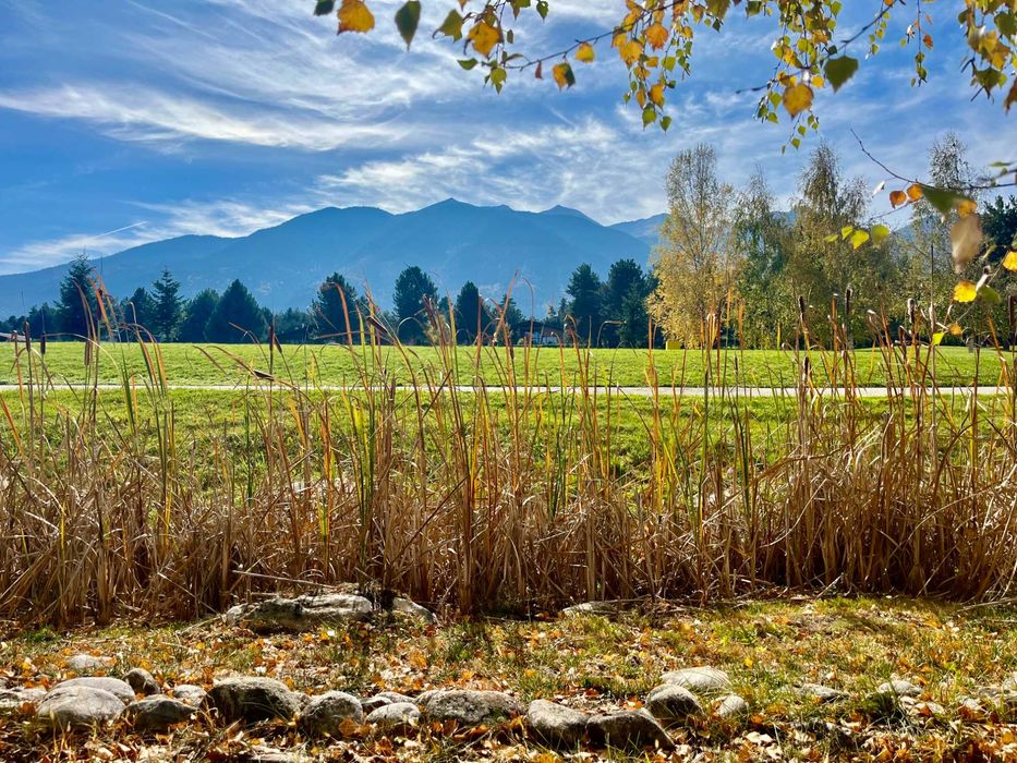Tристаен апартамент под наем в Pirin Golf & Country Club