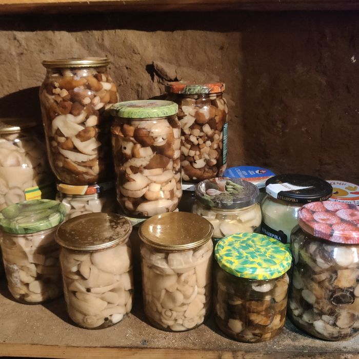 Грибы маринованные