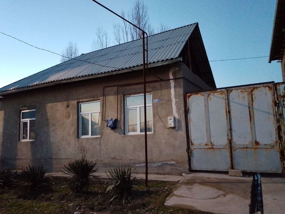 Yangiyoʻl tumanida joylashgan ezoz kfesi yonida zarilga sotilayabdi