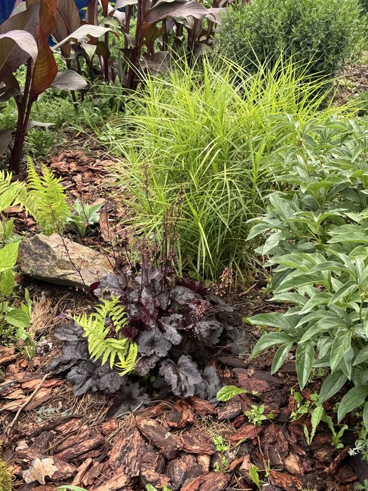 Продам дачу общество Вишенка / Гудок