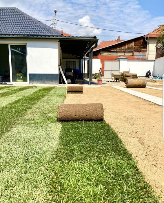 Gazon rulou super calitate, la cel mai mic pret transport si montaj
