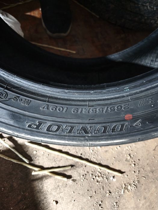 Продам резину Dunlop