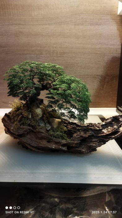 Бонсай от тел и дърво,ръчна изработка