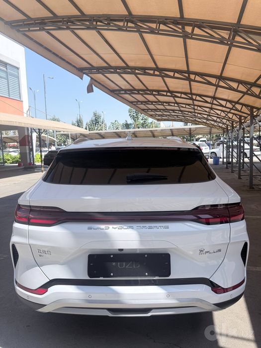 Byd champion elktir